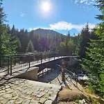 Enjoyharrachov - Atraktivni Slunny Klimatizovany 24 V Centru Harrachova Se Saunou, Parkovanim, Wifi-wlan, Sat, Herni Konzoli, Netflix Zdarma A Moznosti Dobijeni Auta Jen 150m Od Lanovky Appartement *