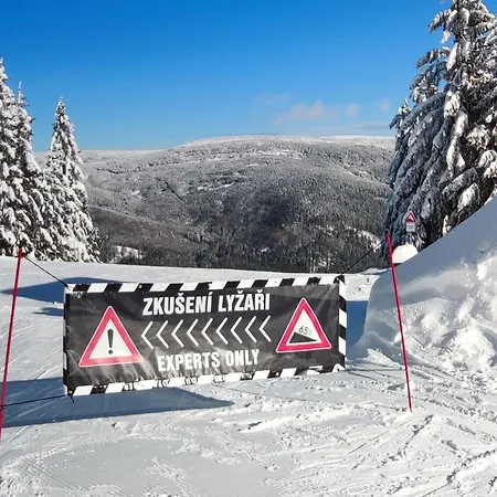 Enjoyharrachov - Atraktivni Slunny Klimatizovany 24 V Centru Harrachova S Velkou Terasou, Saunou, Parkovanim, Wifi-wlan, Sat, Herni Konzoli, Netflix Zdarma A Moznosti Dobijeni Auta Jen 150m Od Lanovky Lejlighed Harrachov