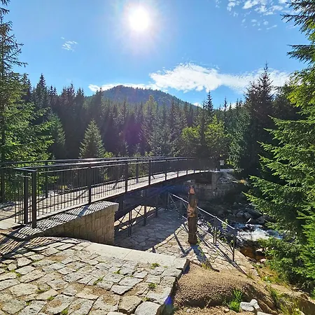 Enjoyharrachov - Atraktivni Slunny Klimatizovany 24 V Centru Harrachova S Velkou Terasou, Saunou, Parkovanim, Wifi-wlan, Sat, Herni Konzoli, Netflix Zdarma A Moznosti Dobijeni Auta Jen 150m Od Lanovky Lejlighed *