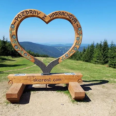 Enjoyharrachov - Atraktivni Slunny Klimatizovany 24 V Centru Harrachova S Velkou Terasou, Saunou, Parkovanim, Wifi-wlan, Sat, Herni Konzoli, Netflix Zdarma A Moznosti Dobijeni Auta Jen 150m Od Lanovky Lejlighed Harrachov