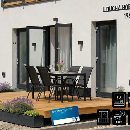 Enjoyharrachov - Atraktivni Slunny Klimatizovany 24 V Centru Harrachova S Velkou Terasou, Saunou, Parkovanim, Wifi-wlan, Sat, Herni Konzoli, Netflix Zdarma A Moznosti Dobijeni Auta Jen 150m Od Lanovky Lejlighed *