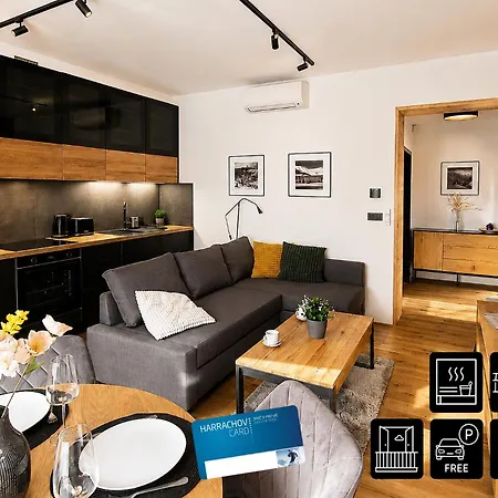 Lägenhet Enjoyharrachov - Atraktivni Slunny Klimatizovany 24 V Centru Harrachova S Velkou Terasou, Saunou, Parkovanim, Wifi-wlan, Sat, Herni Konzoli, Netflix Zdarma A Moznosti Dobijeni Auta Jen 150m Od Lanovky *