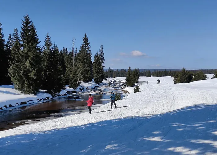 Enjoyharrachov - Atraktivni Slunny Klimatizovany 24 V Centru Harrachova Se Saunou, Parkovanim, Wifi-wlan, Sat, Herni Konzoli, Netflix Zdarma A Moznosti Dobijeni Auta Jen 150m Od Lanovky Harrachov