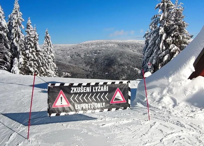 Enjoyharrachov - Atraktivni Slunny Klimatizovany 24 V Centru Harrachova Se Saunou, Parkovanim, Wifi-wlan, Sat, Herni Konzoli, Netflix Zdarma A Moznosti Dobijeni Auta Jen 150m Od Lanovky Διαμέρισμα Harrachov