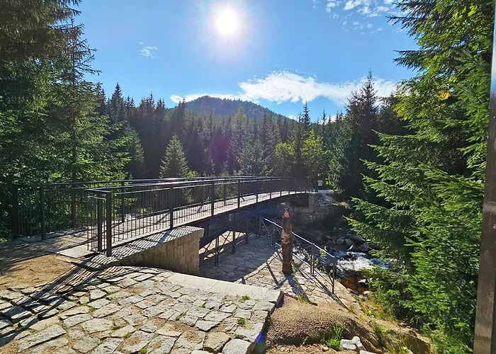 Enjoyharrachov - Atraktivni Slunny Klimatizovany 24 V Centru Harrachova Se Saunou, Parkovanim, Wifi-wlan, Sat, Herni Konzoli, Netflix Zdarma A Moznosti Dobijeni Auta Jen 150m Od Lanovky Διαμέρισμα *