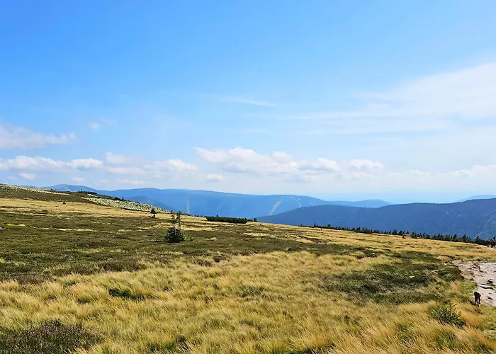 Enjoyharrachov - Atraktivni Slunny Klimatizovany 24 V Centru Harrachova Se Saunou, Parkovanim, Wifi-wlan, Sat, Herni Konzoli, Netflix Zdarma A Moznosti Dobijeni Auta Jen 150m Od Lanovky * Harrachov