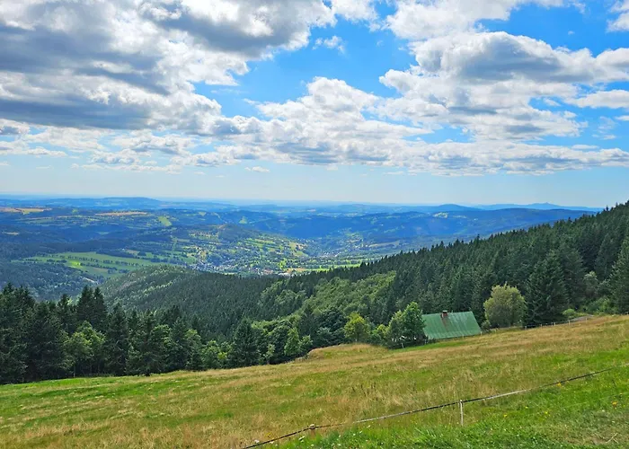 Enjoyharrachov - Atraktivni Slunny Klimatizovany 24 V Centru Harrachova Se Saunou, Parkovanim, Wifi-wlan, Sat, Herni Konzoli, Netflix Zdarma A Moznosti Dobijeni Auta Jen 150m Od Lanovky Διαμέρισμα